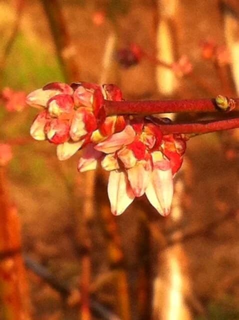 Windermere Farms & Apiaries