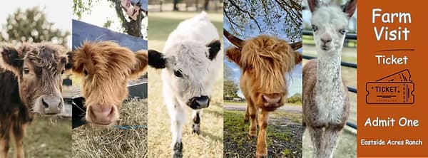 Eastside Acres Ranch