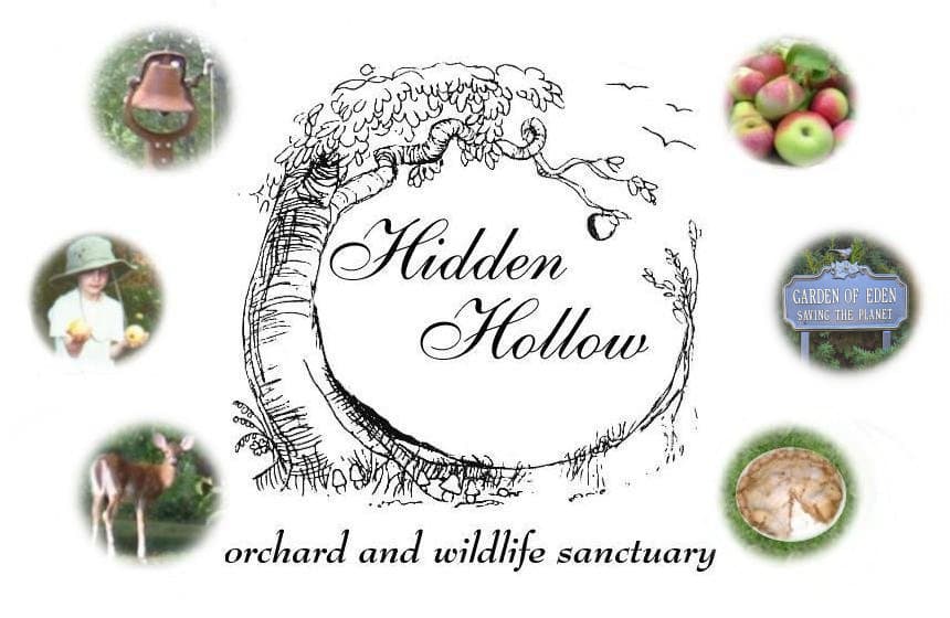 Hidden Hollow Orchard