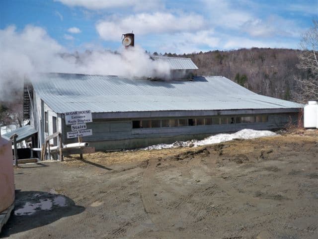 Sugarbush Farm