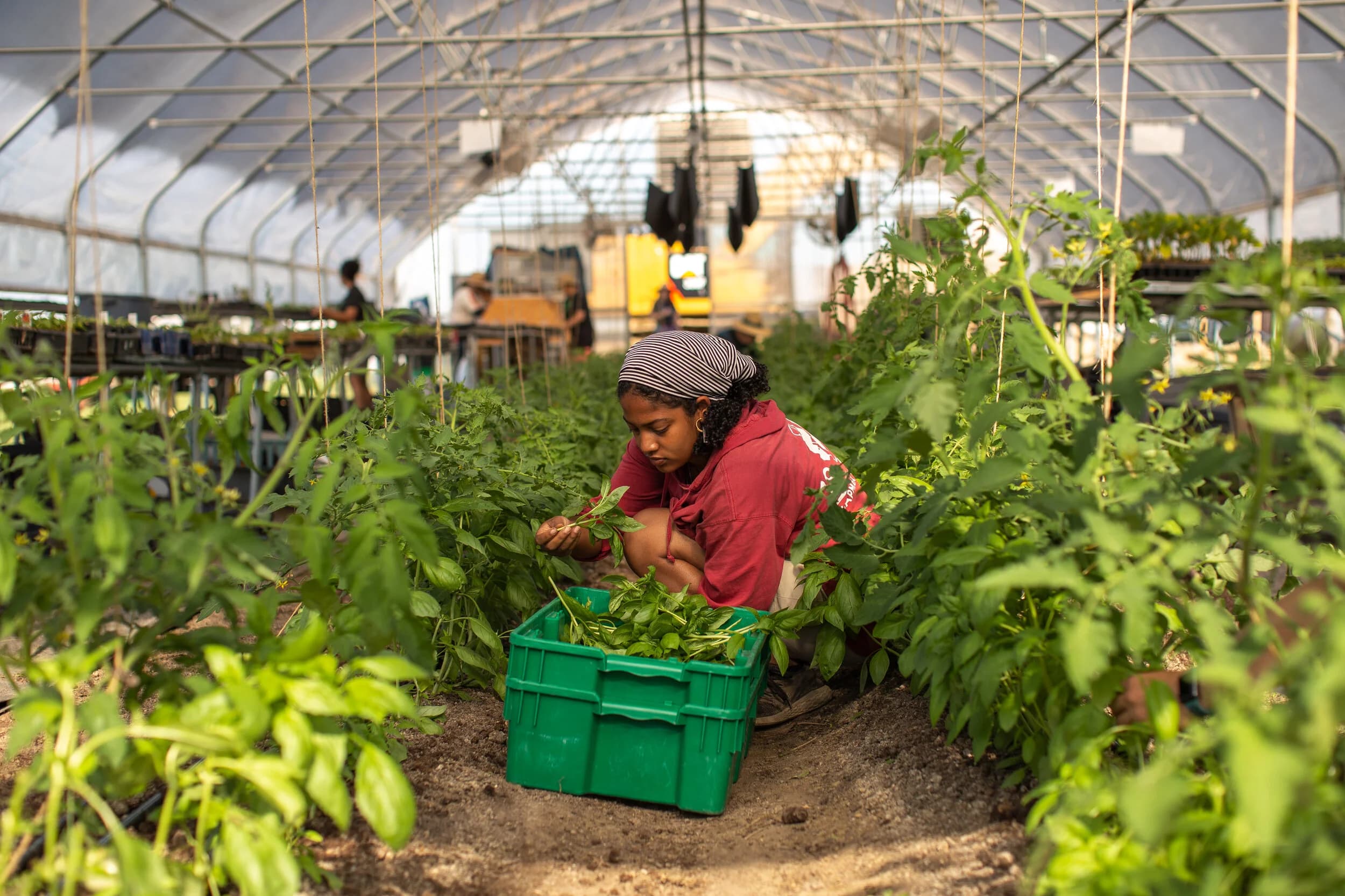 Grow: Johnson County