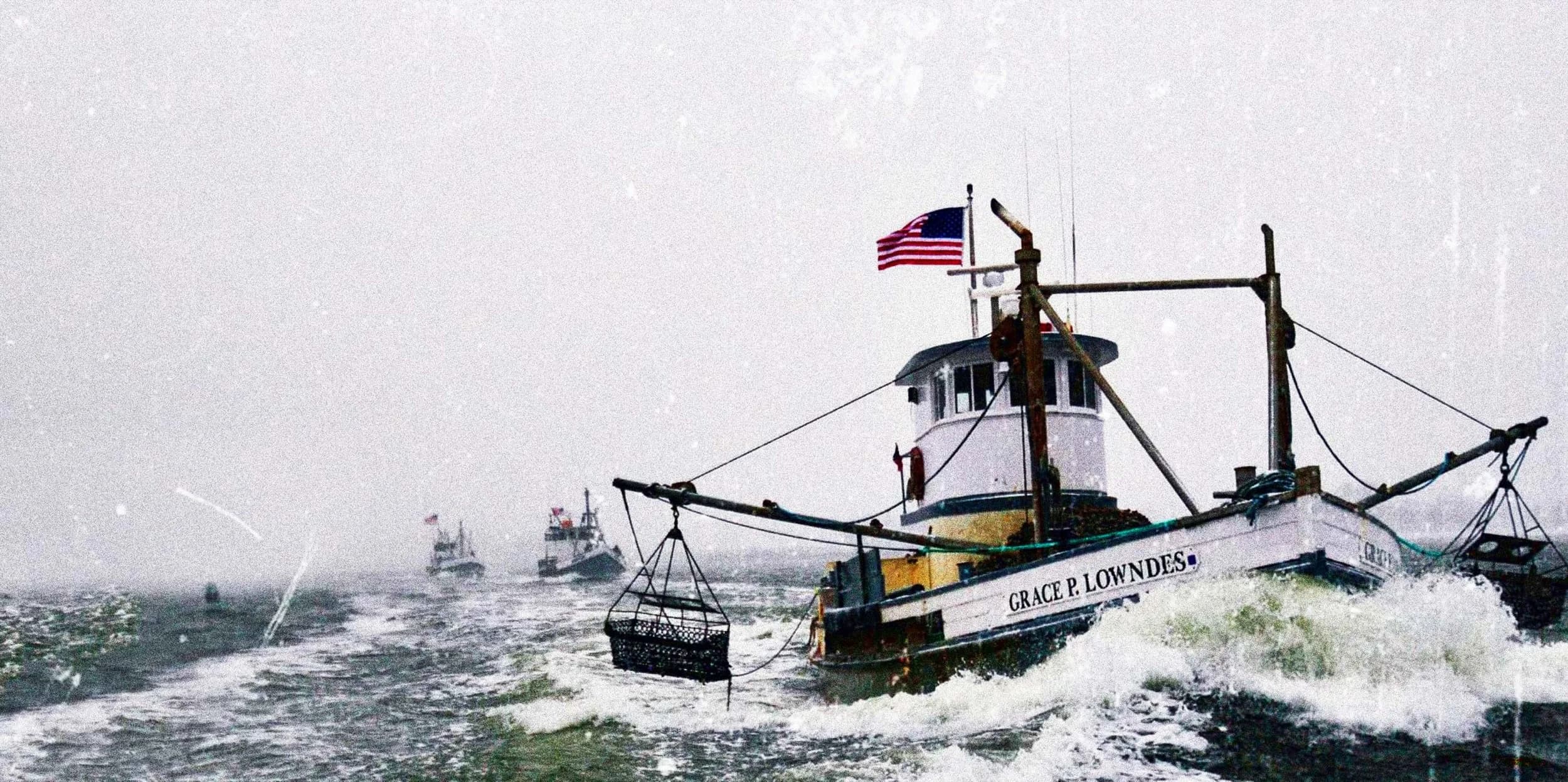 Copps Island Oysters by Norm Bloom & Son, LLC