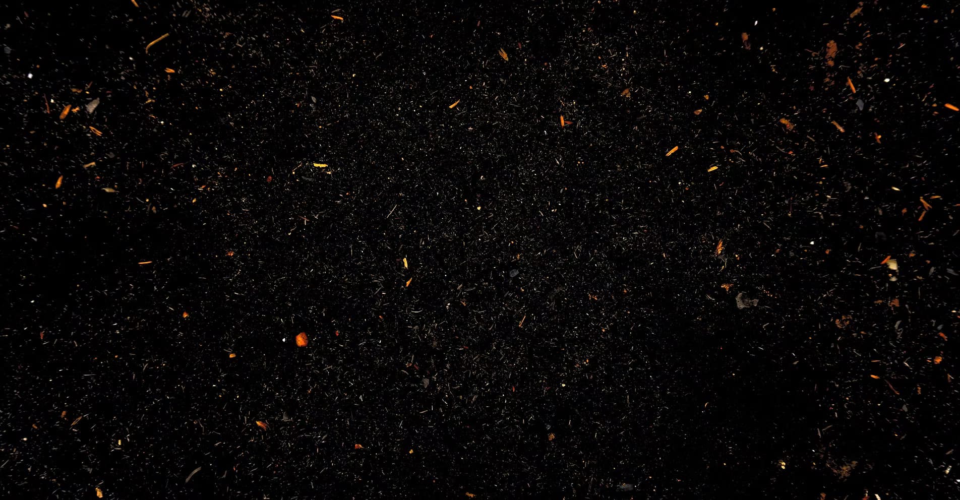 D-Town Farm (DBCFSN)