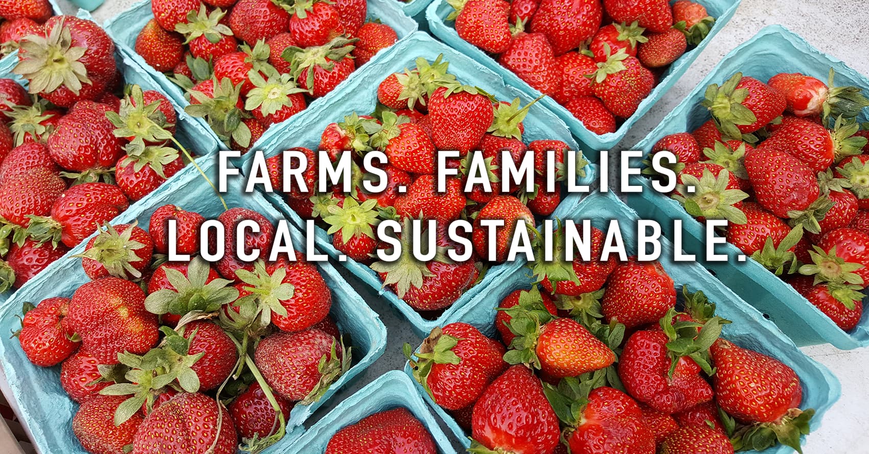 Montclair Farmers Market Walnut St. Station