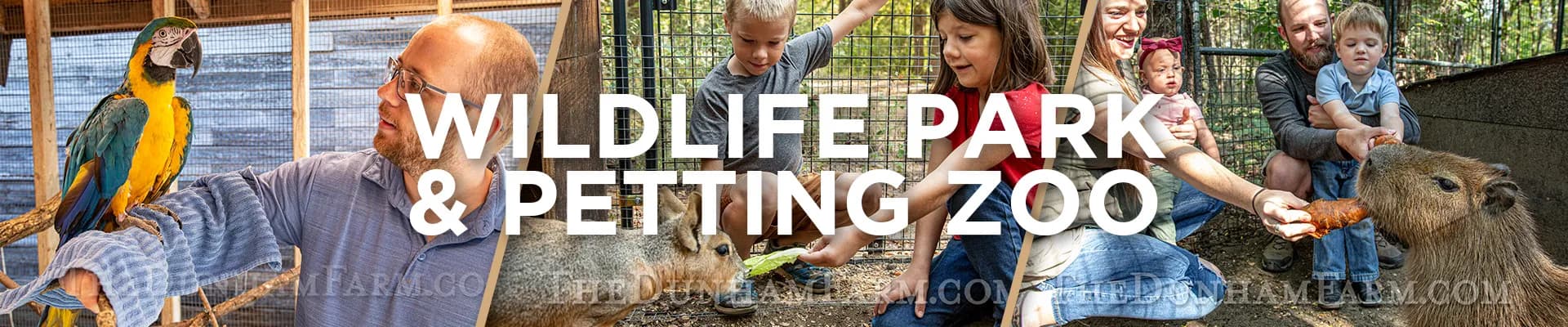 The Dunham Farm / Dunham Farm Wildlife Park / Petting Zoo