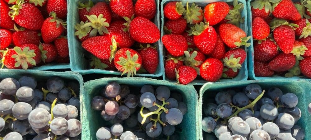 Indoor Woodstock Farmers Market