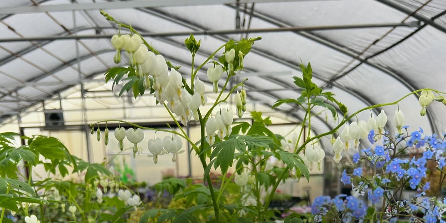 Wavra Farms & Nursery