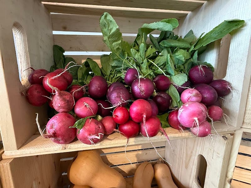 Ravinia Farmers Market