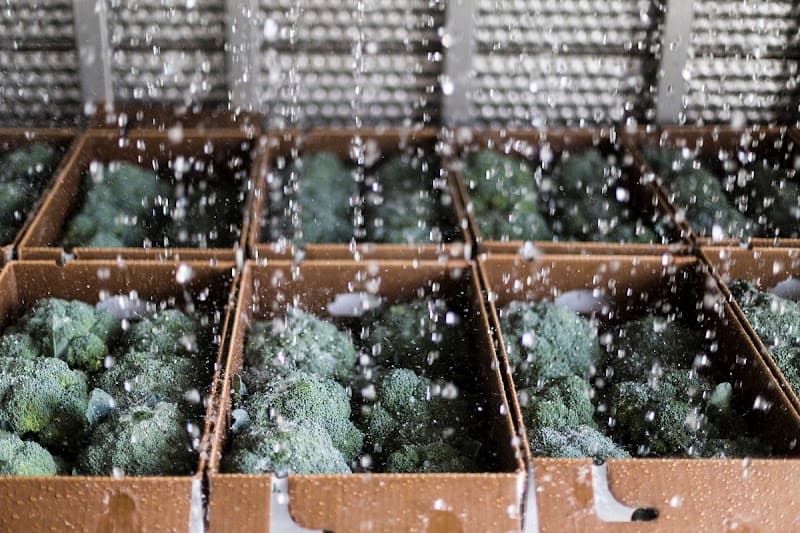 The Common Market Mid-Atlantic