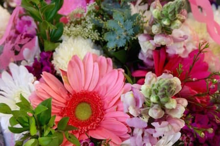 Rancho Santa Fe Farmers Market