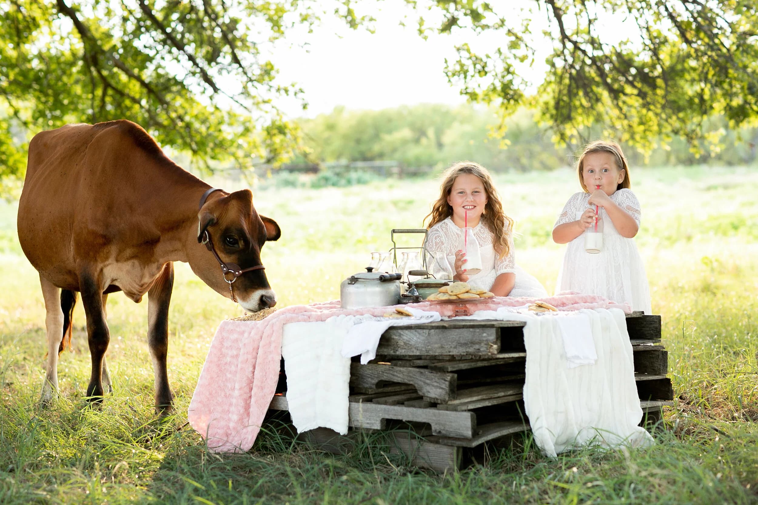 Hoegger Family Farms