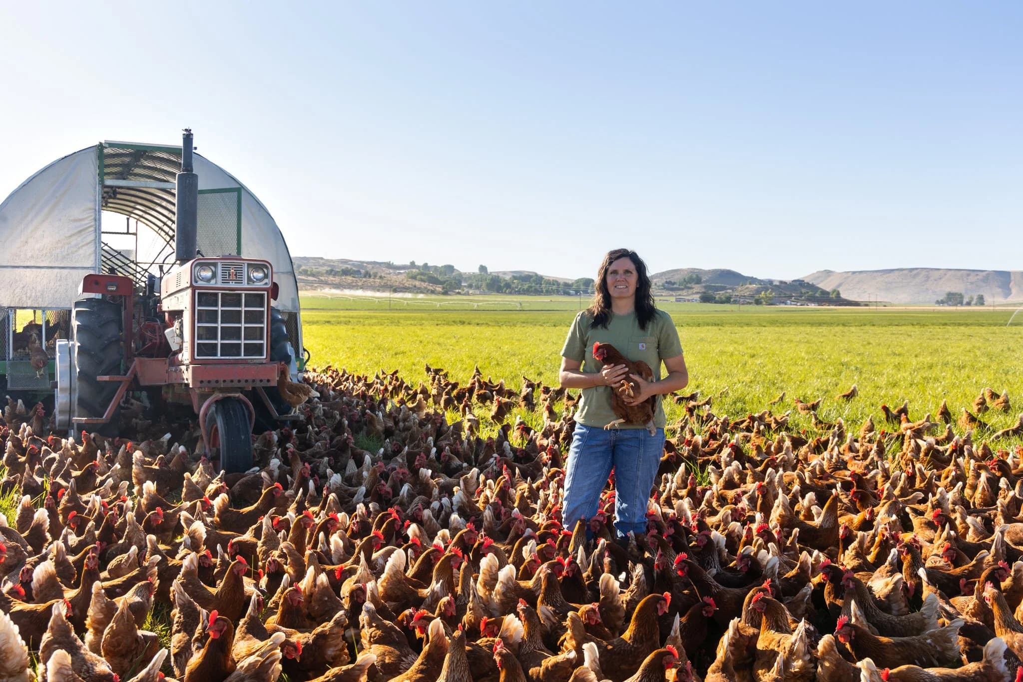 Boise Co-op Market North End