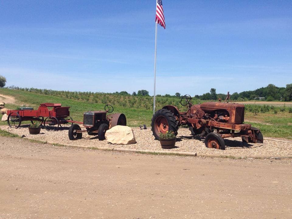 Walnut Drive Gardens