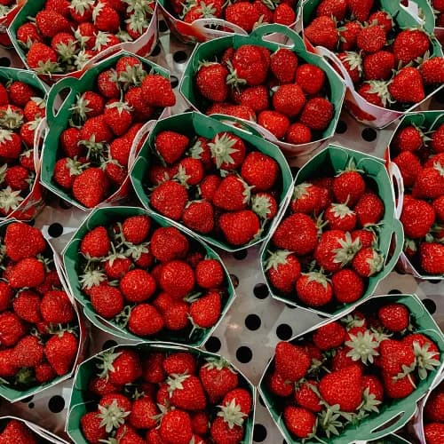 Freedom House Farm (and Coffee Trailer)