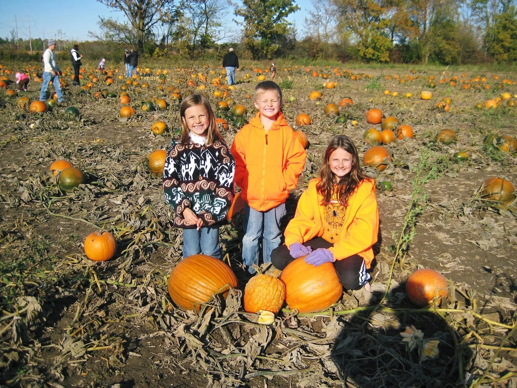Pleasure Valley Pumpkins