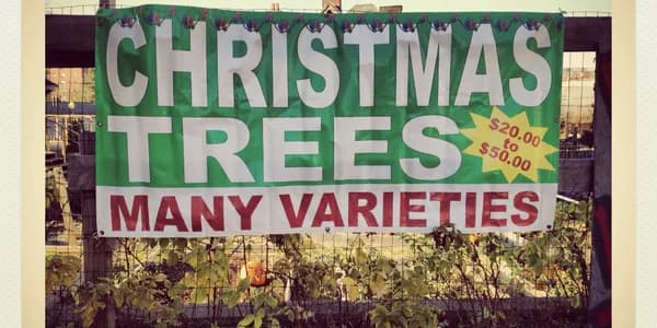 Nature Health Farms Petting Zoo, Airbnb, Alpaca Farm & Wedding Chapel in Pahrump