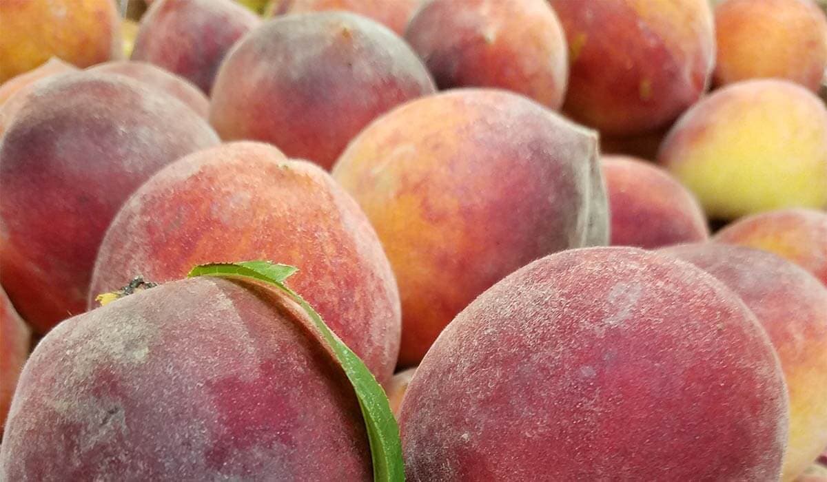 The Peach Barn - Orchard & Bakery