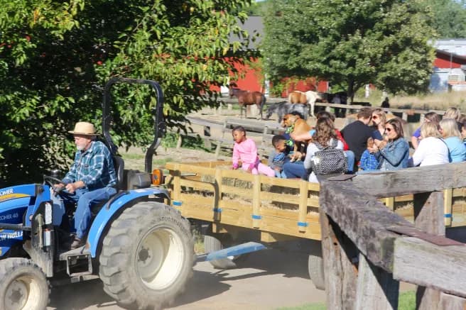 The Children's Farm at The Center