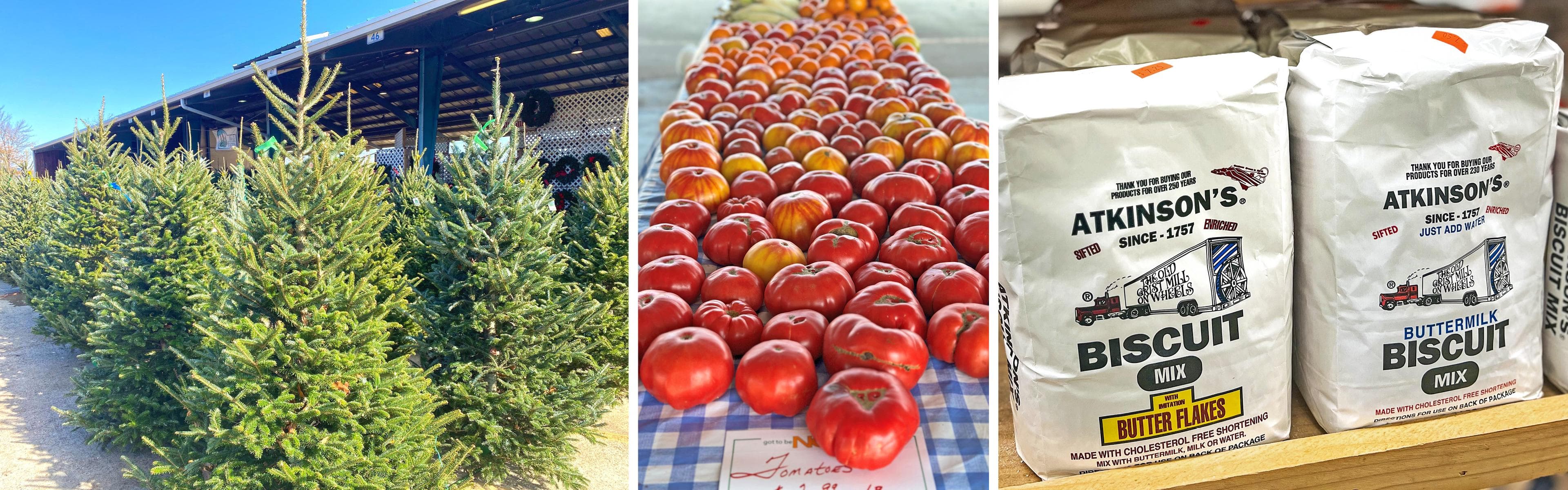 Piedmont Triad Farmers Market