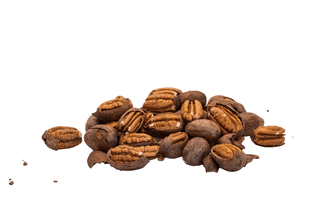 Day's Southern Pecan Co