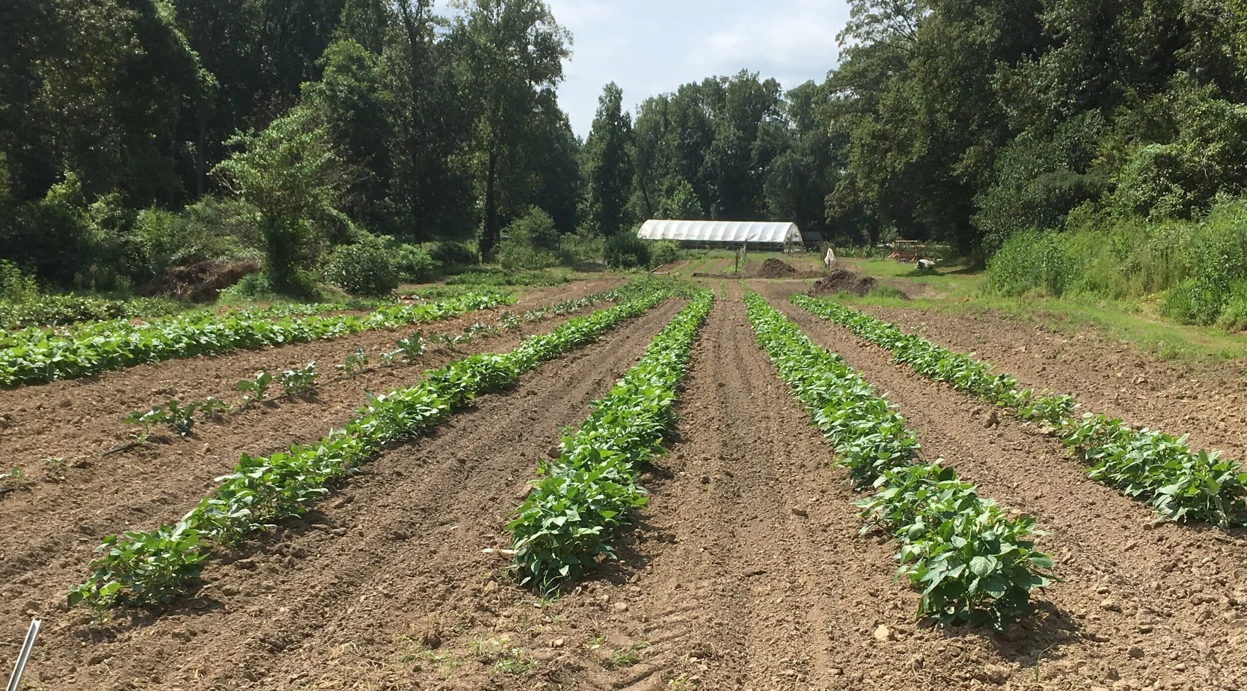 Windermere Farms & Apiaries