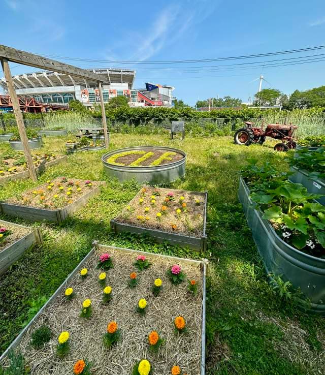 Cleveland Convention Center Urban Farm