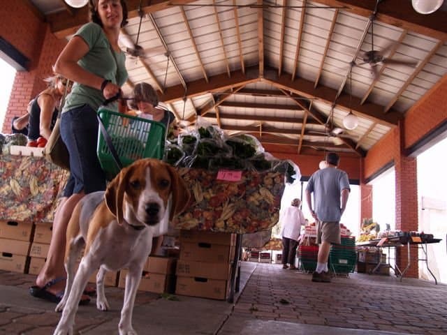 Ybor City Fresh Market