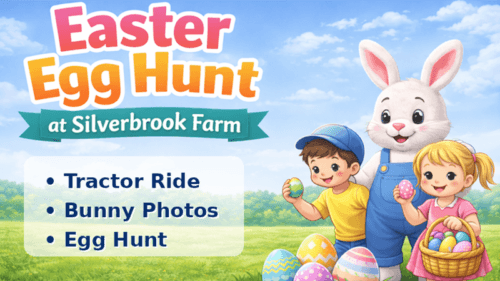 The Silverbrook Farm