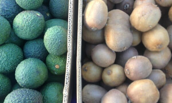 Westside Farmers Market