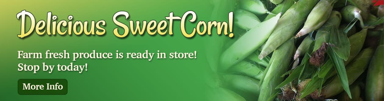 Tom Strain & Sons and Daughter Too LLC