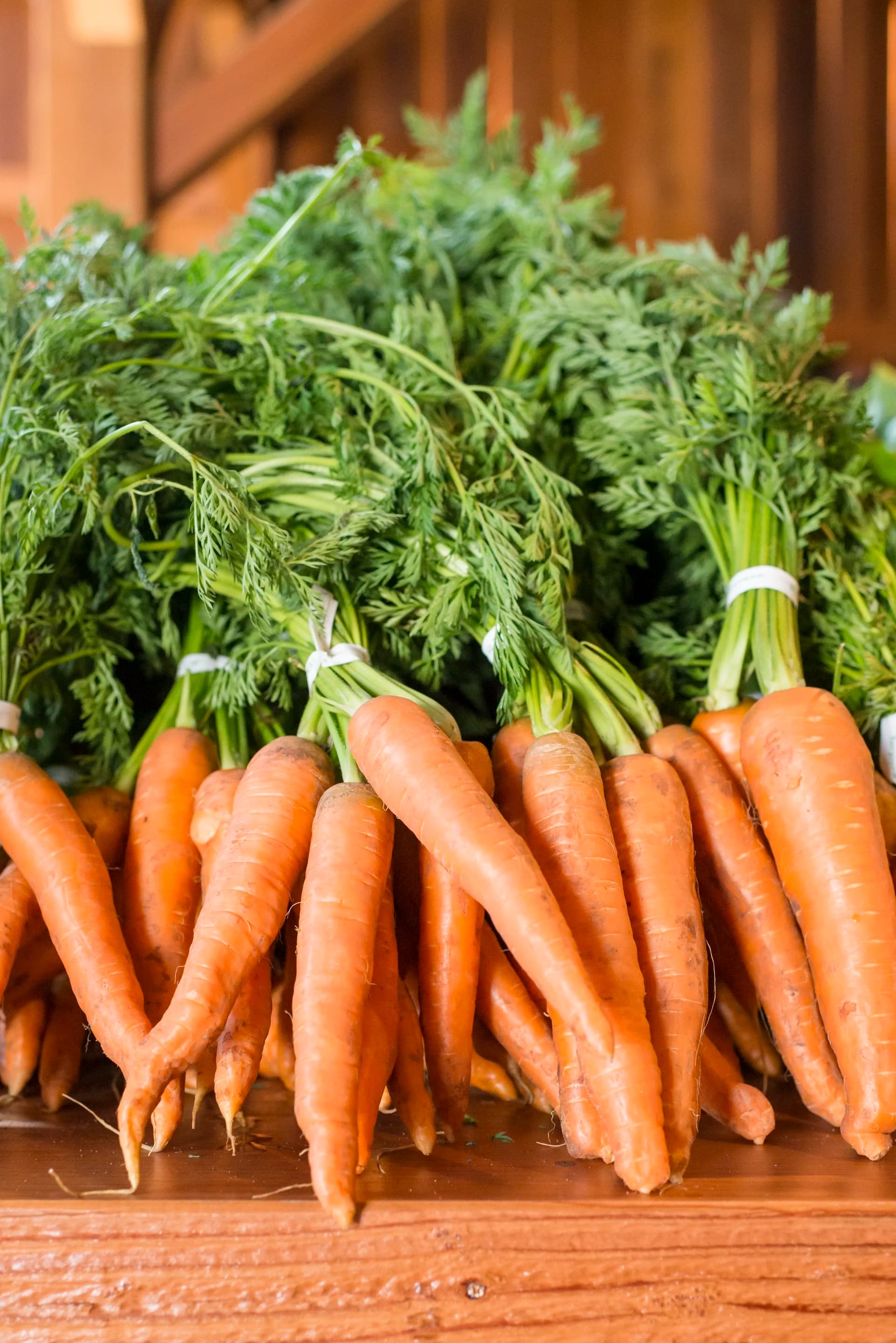 Blue House Farm Strawberry U-Pick and Farmstand
