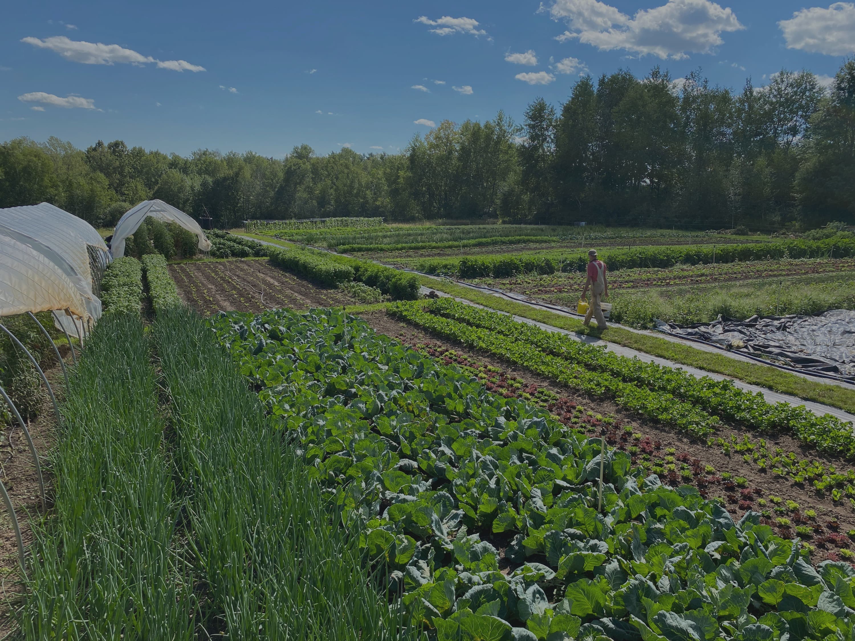 Abraham's Table Farm