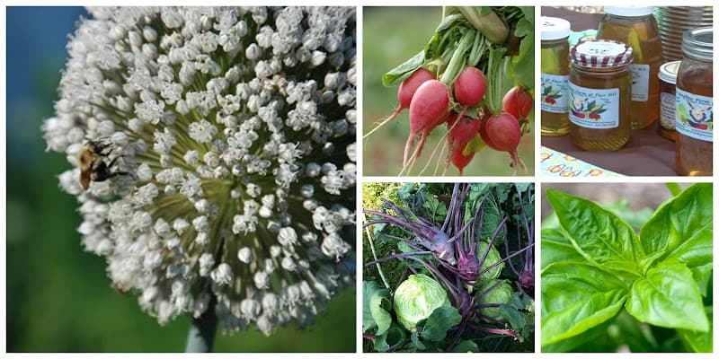 Fair Weather Farm at Fairhill