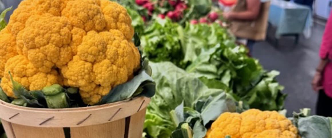 Trenton Farmers Market