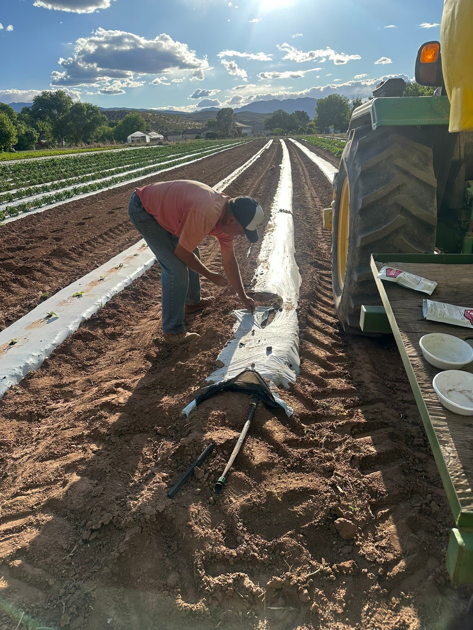 Frei's Fresh Produce