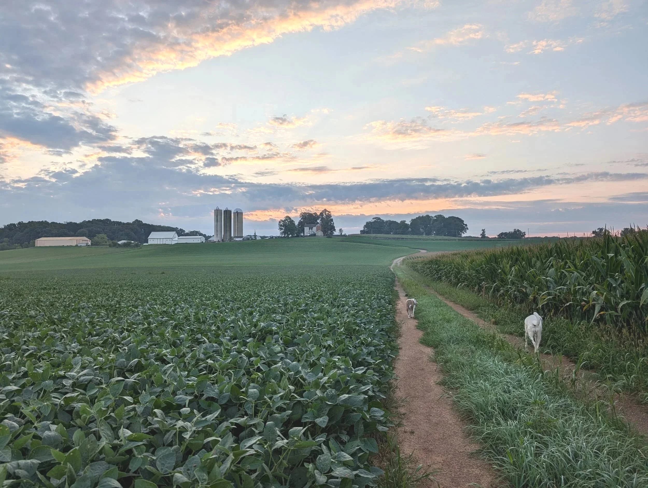 England Acres Farm and Market