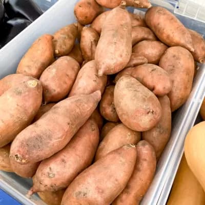 South End Farmers Market