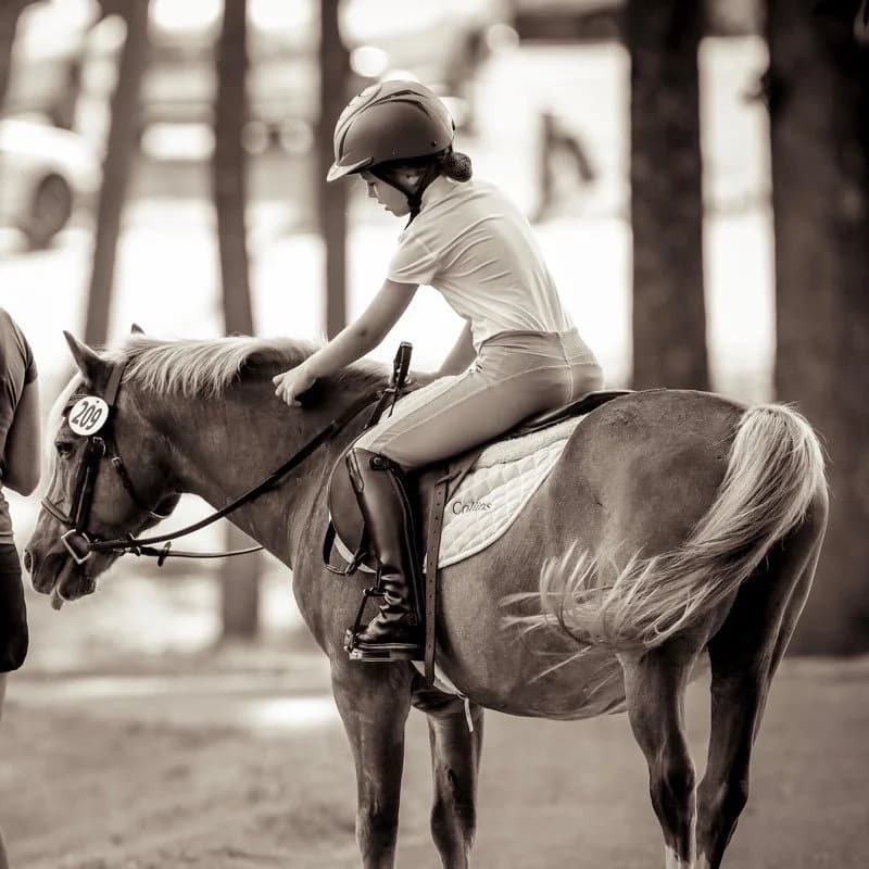 Go With It Farm - Johns Creek