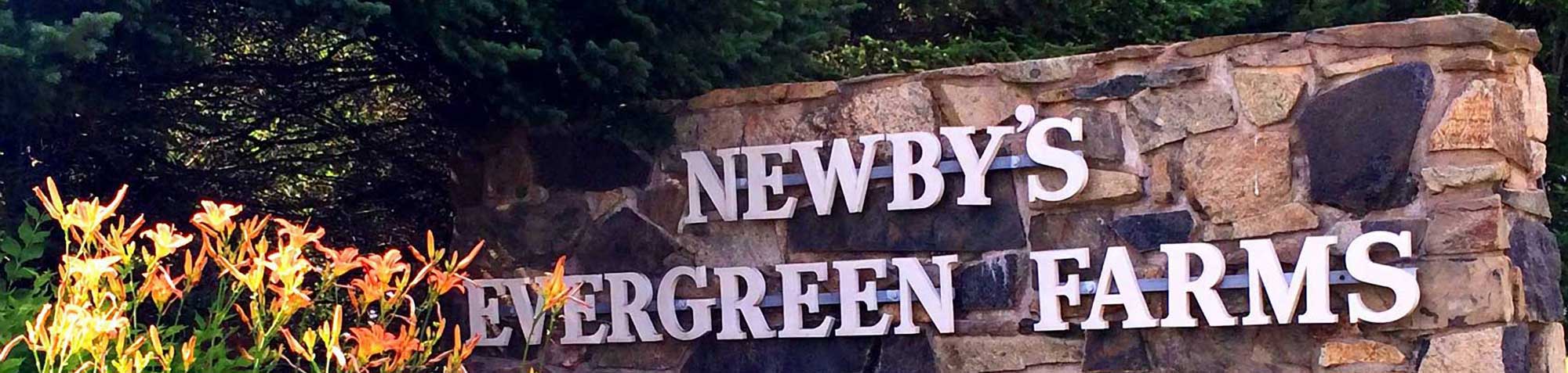 Newby's Evergreen Farms