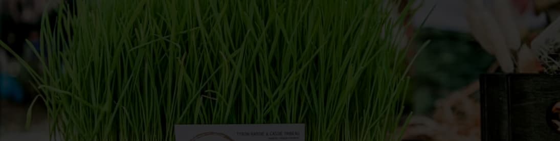 Tiny Leaf Microgreen Farm