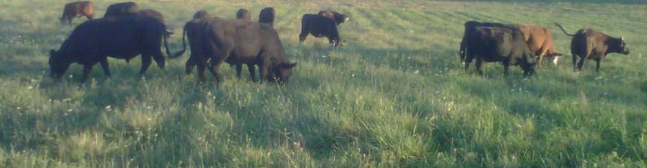 Barrington Natural Farms