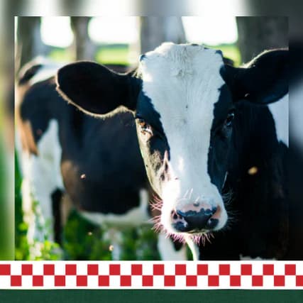 Farmers Co-op/Old Town Country Store