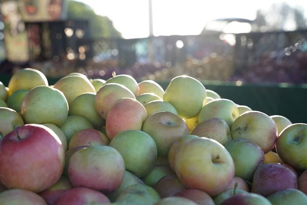 Farmers Market at Mt. SAC