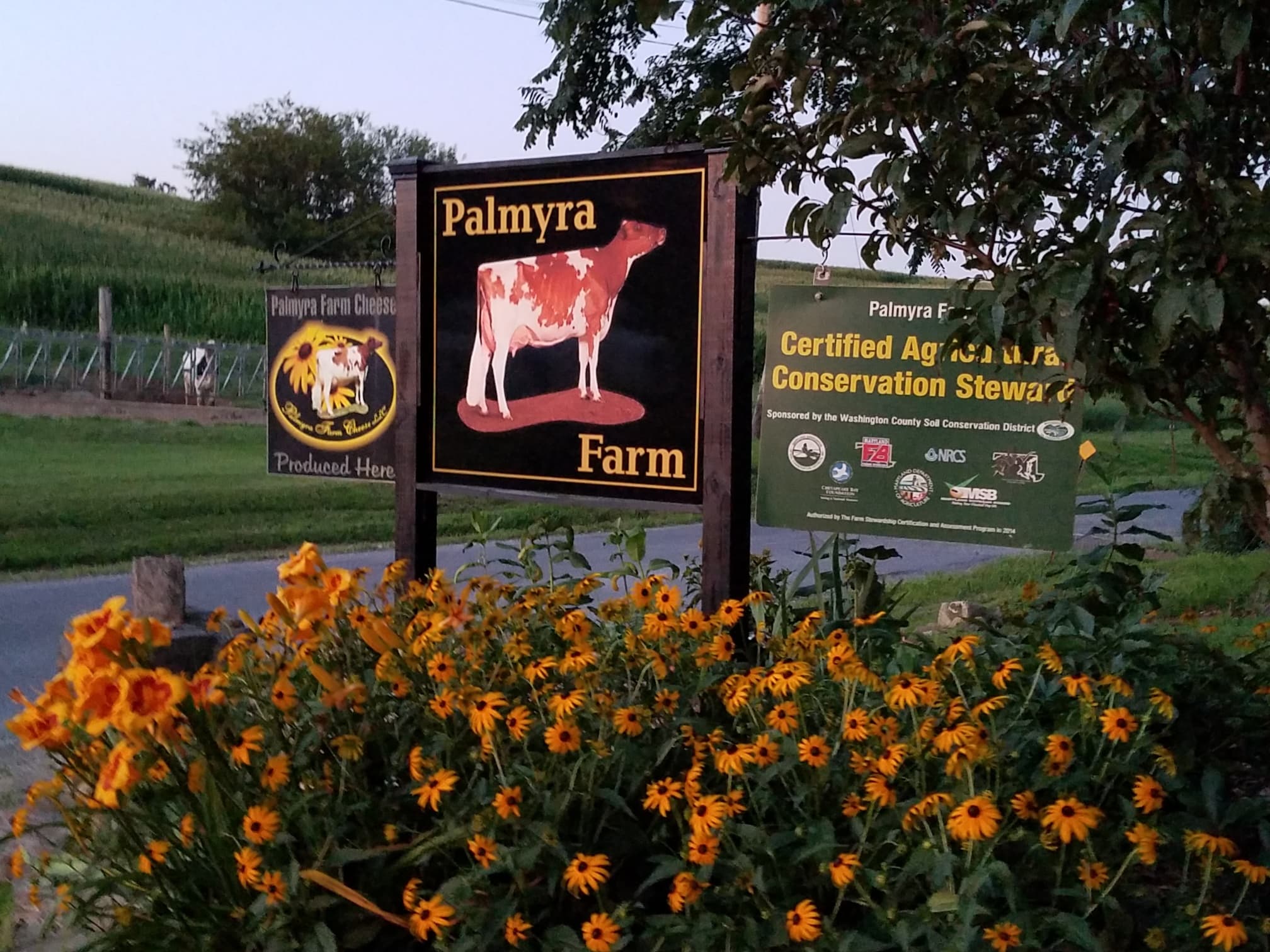Palmyra Farm